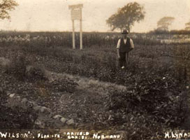 Photo 4  - Wilson's Florists, Oakfield Gardens, Normanby in 1924