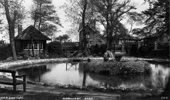 Photo 5  - ''Titty-Bottle'' Park, Normanby 1930s