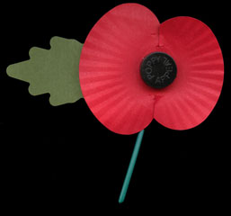 Photo 1  - 2014 Normanby Remembrance Day - ...of Flanders Fields...