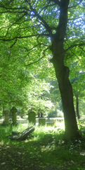 Photo 1  - Linthorpe Cemetery Trip - Linthorpe Cemetery & Nature Reserve, Middlesbrough