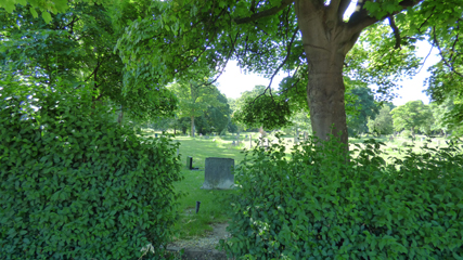 Photo 2  - Linthorpe Cemetery Trip - The Cemetery & Nature Reserve at Linthorpe