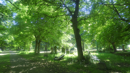 Photo 14  - Linthorpe Cemetery Trip - Sylvan Tranquility of the Cemetery