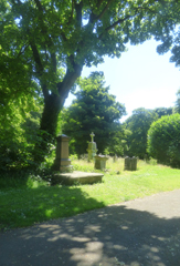 Photo 18  - Linthorpe Cemetery Trip - Unusual Shape of Grave in the Background