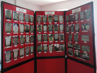 Photo 1  - Fallen Heroes - Eston Cemetery - 2014 Exhibition Display
