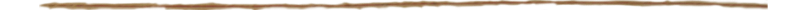 Divider image