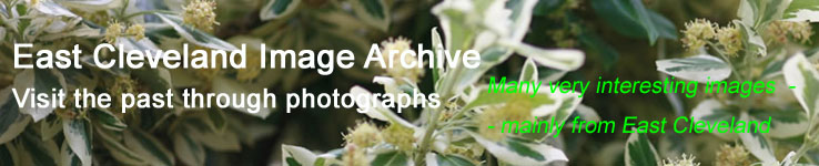 Link to East Cleveland Image Archive (access key = f)