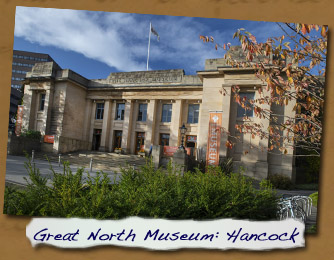 Great North Museum: Hancock
- Click On This for Larger Image (Opens in New Window)