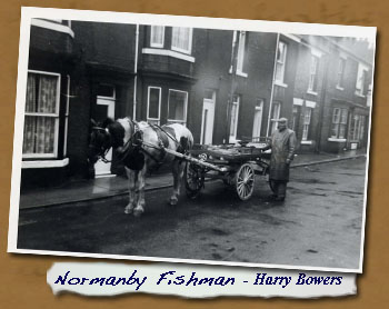 Normanby Fish Man - Harry Bowers - Click On This for Larger Image 
			(Opens in New Window)
