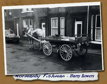 Normanby Fish Man - Harry Bowers
- Click On This for Larger Image
	(Opens in New Window)