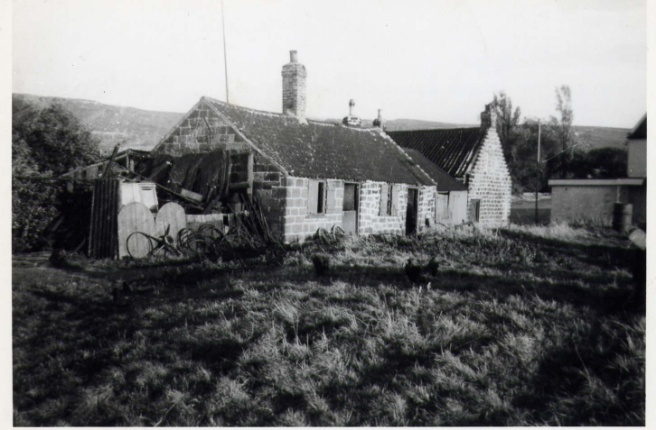 Snowdon Family Forge 1