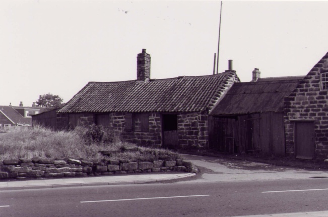 Snowdon Family Forge 2
